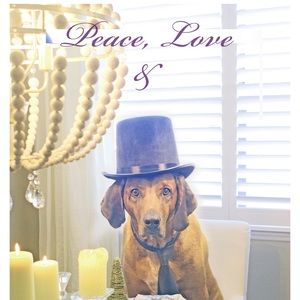 Meet your Posher, Kate